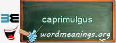 WordMeaning blackboard for caprimulgus